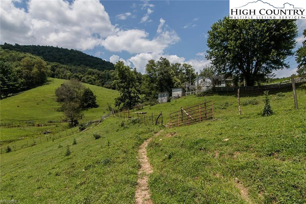 Image number 12 for the current listing