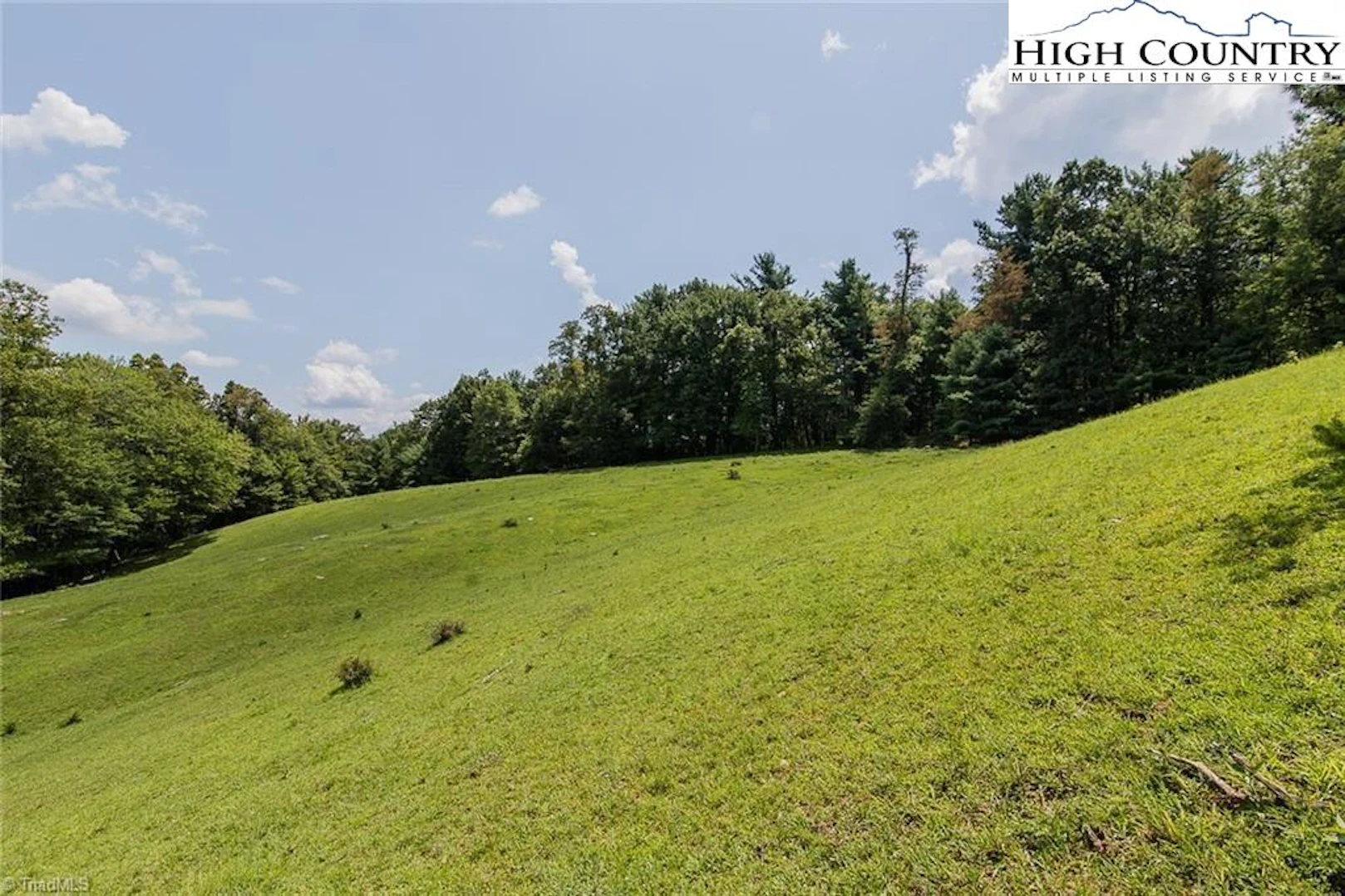 Image number 2 for the current listing