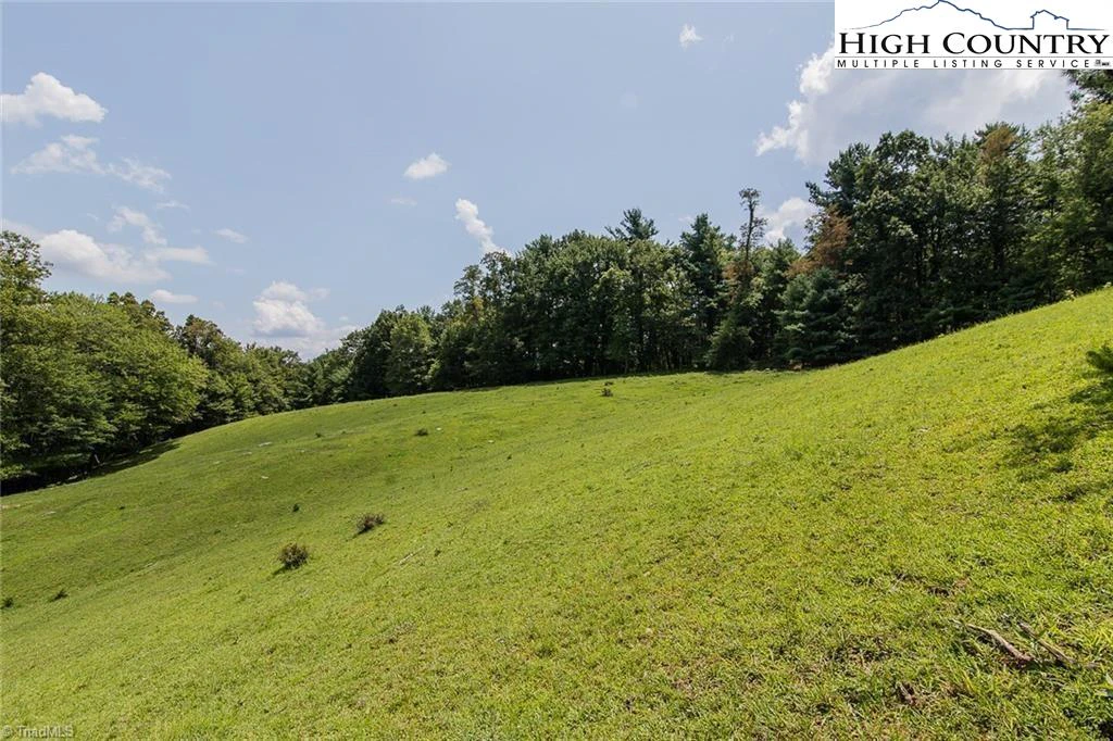 Image number 2 for the current listing