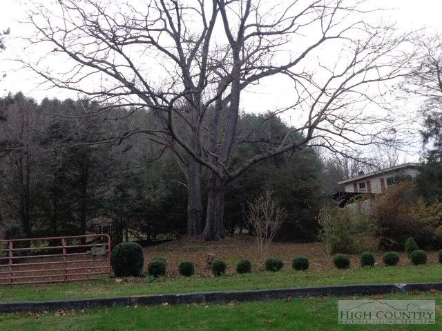 Image number 7 for the current listing