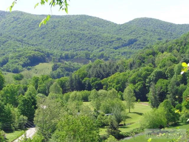 Image number 9 for the current listing