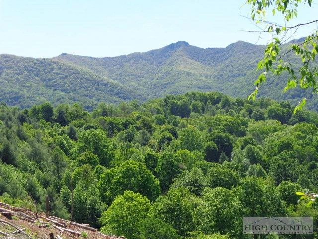 Image number 2 for the current listing