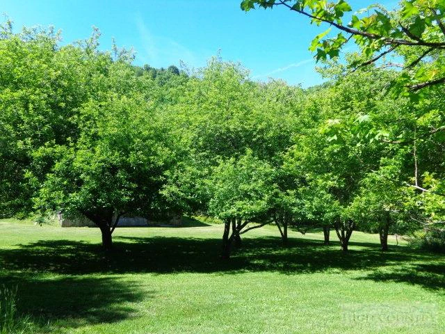 Image number 15 for the current listing