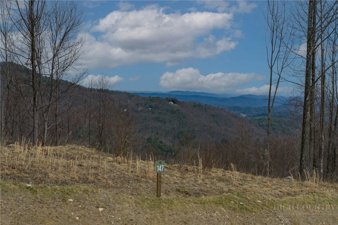 Image number 4 for the current listing