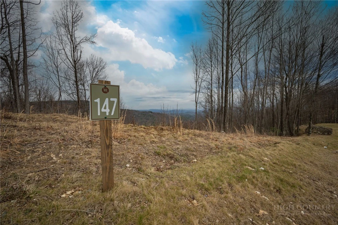 Image number 1 for the current listing