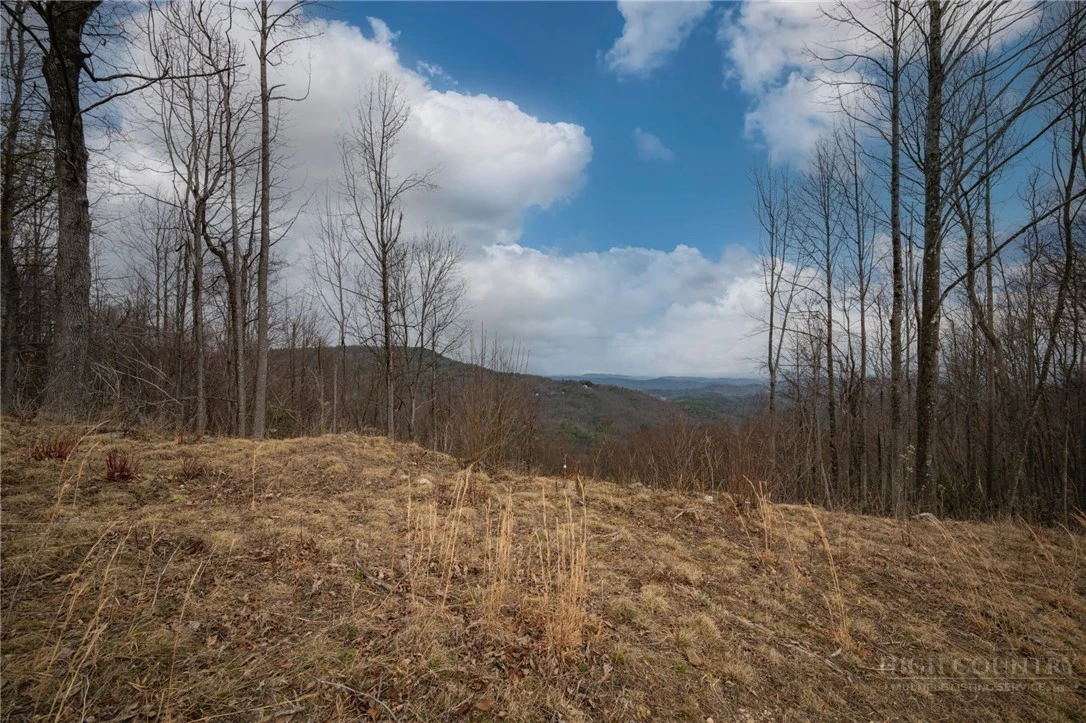 Image number 3 for the current listing