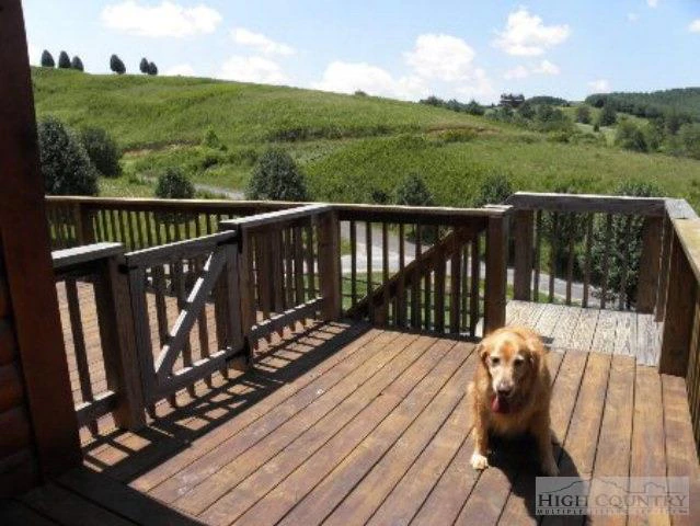Image number 4 for the current listing
