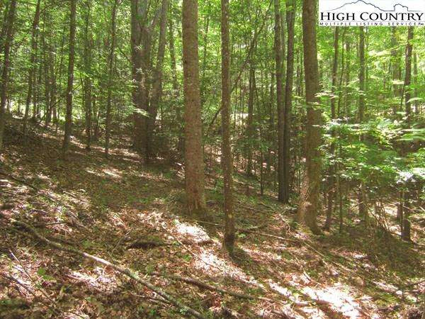 Image number 1 for the current listing