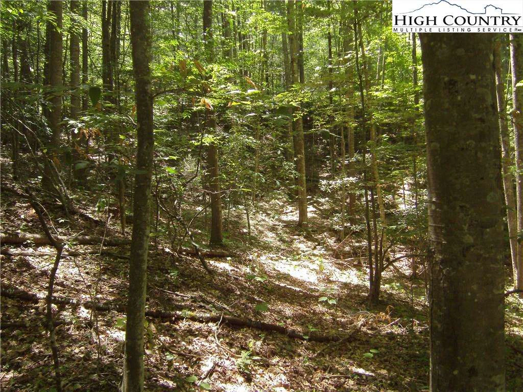 Image number 3 for the current listing