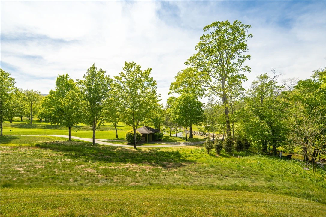 Image number 14 for the current listing