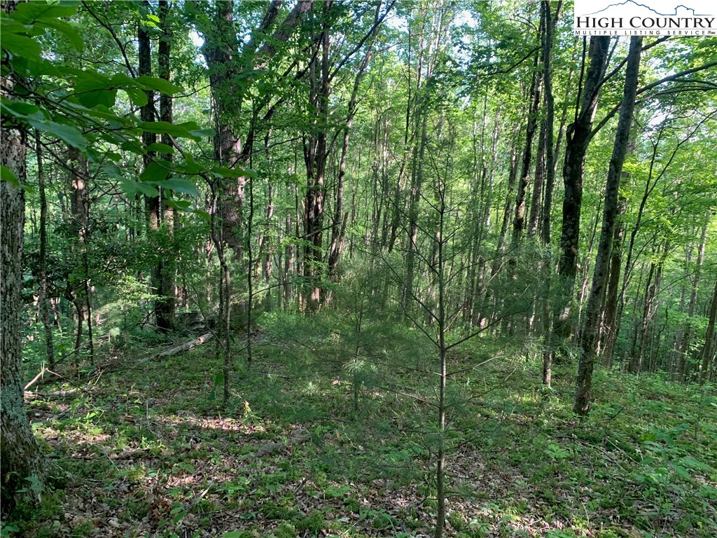 Image number 7 for the current listing