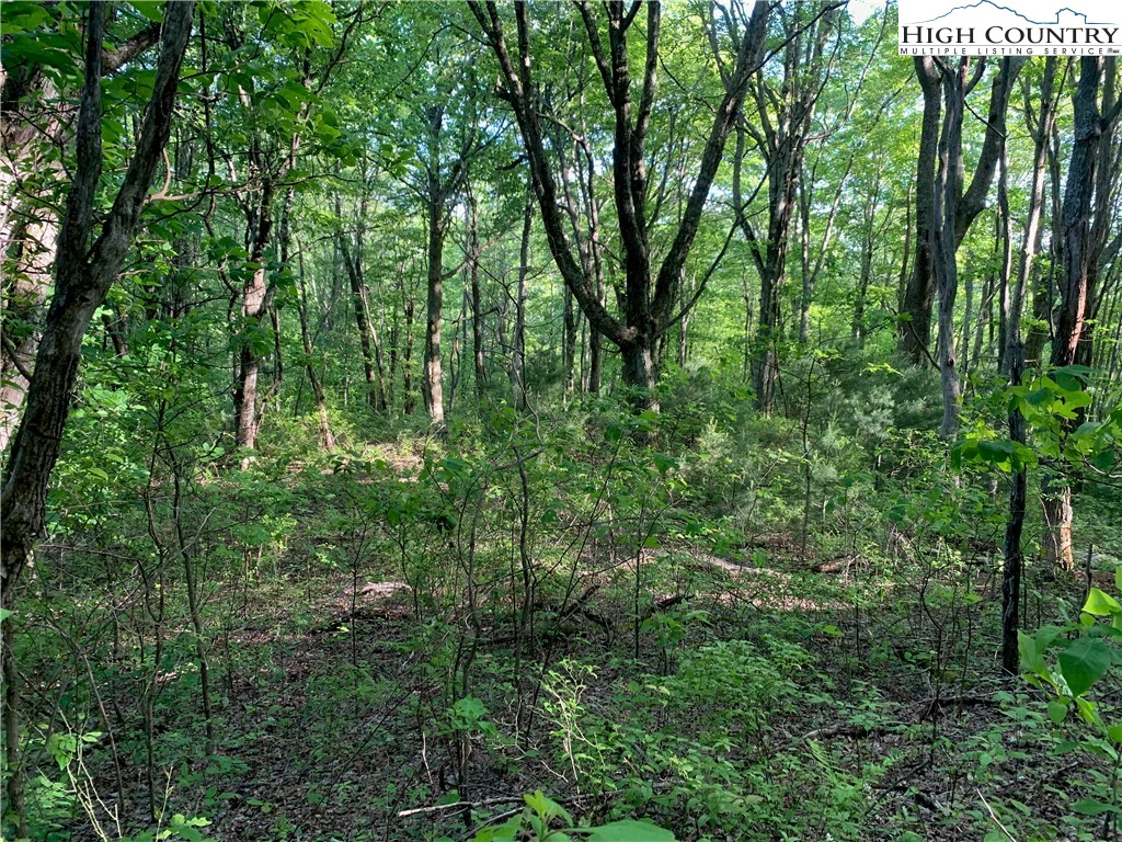 Image number 11 for the current listing