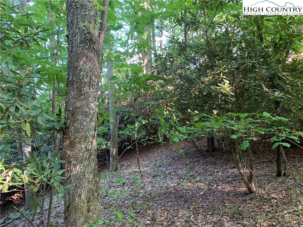 Image number 13 for the current listing