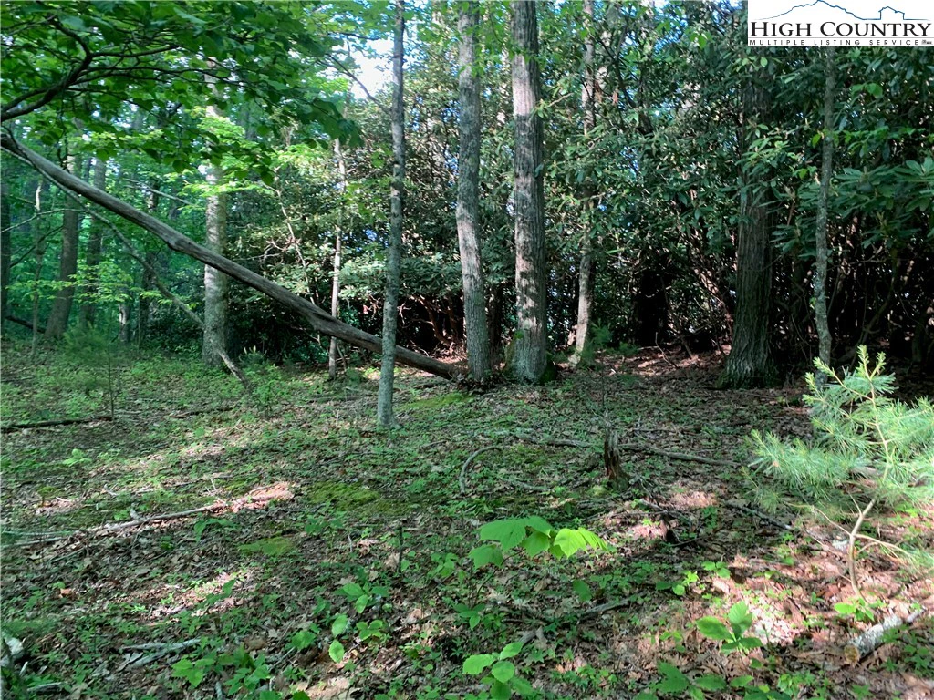 Image number 16 for the current listing