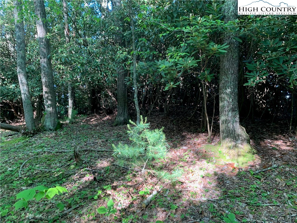 Image number 17 for the current listing