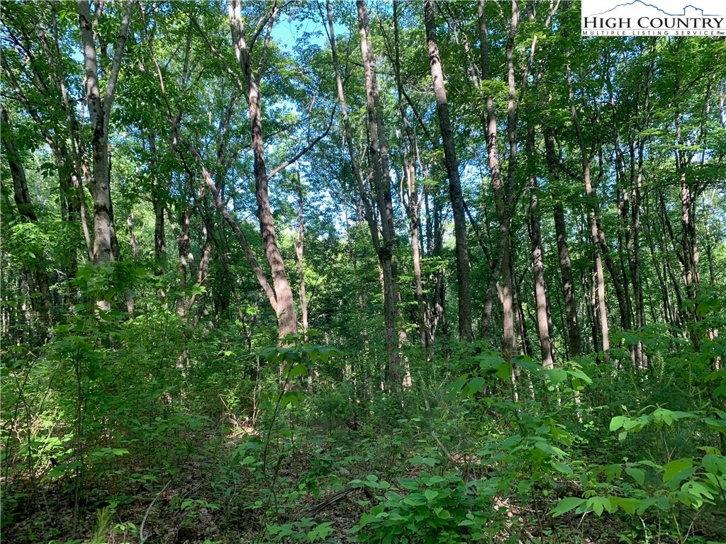 Image number 14 for the current listing