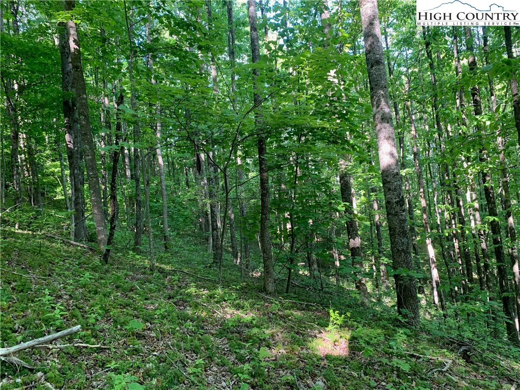 Image number 4 for the current listing