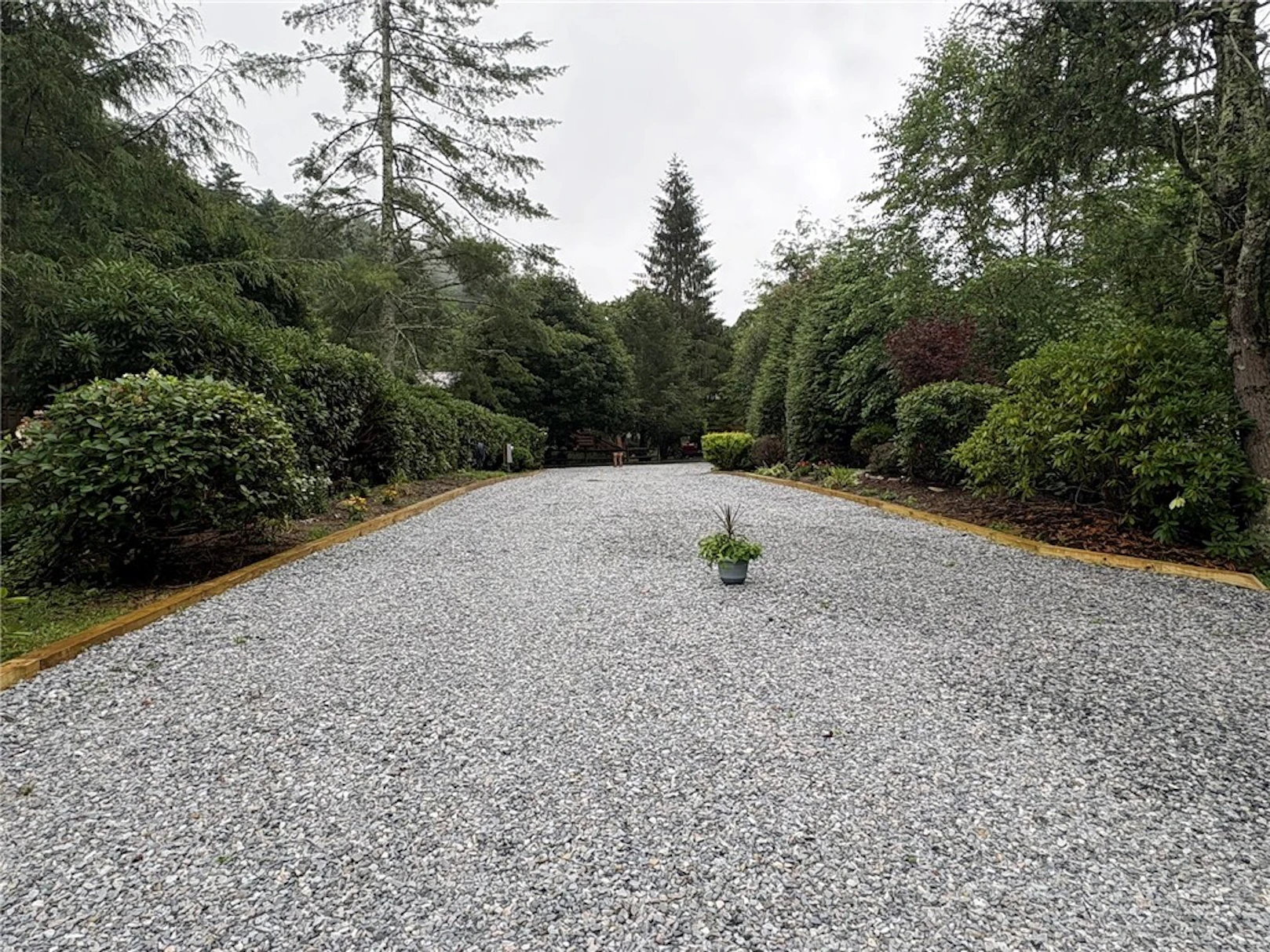 Image number 1 for the current listing