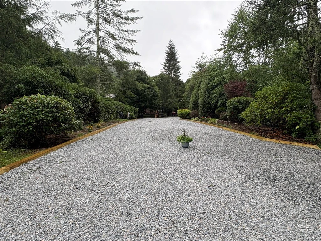 Image number 1 for the current listing