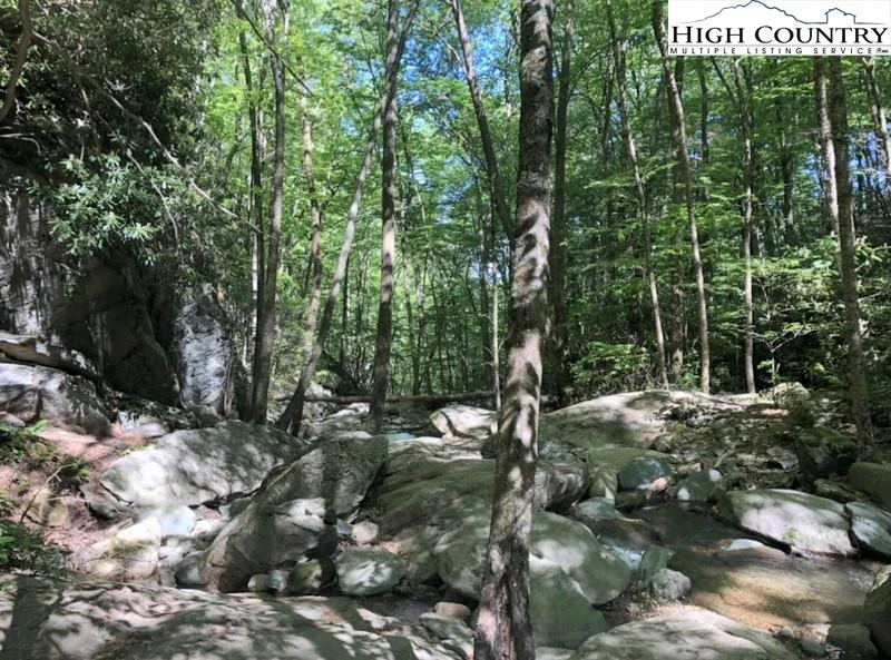 Image number 15 for the current listing