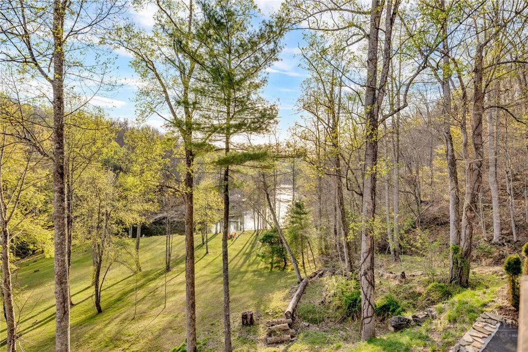 Image number 3 for the current listing