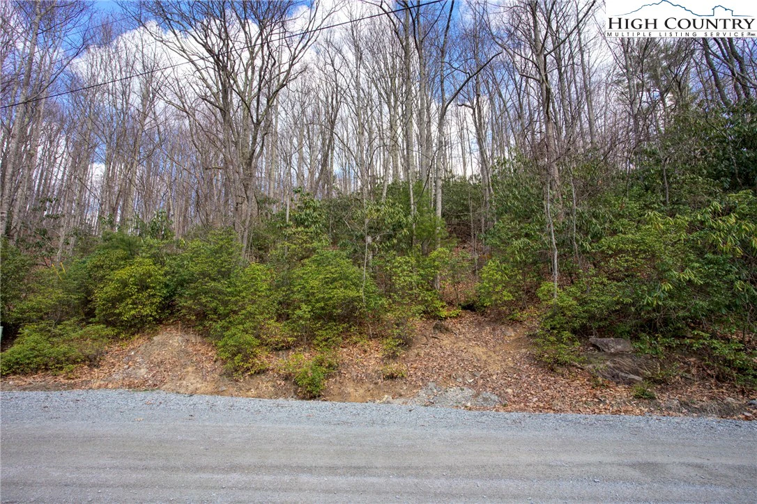 Image number 1 for the current listing