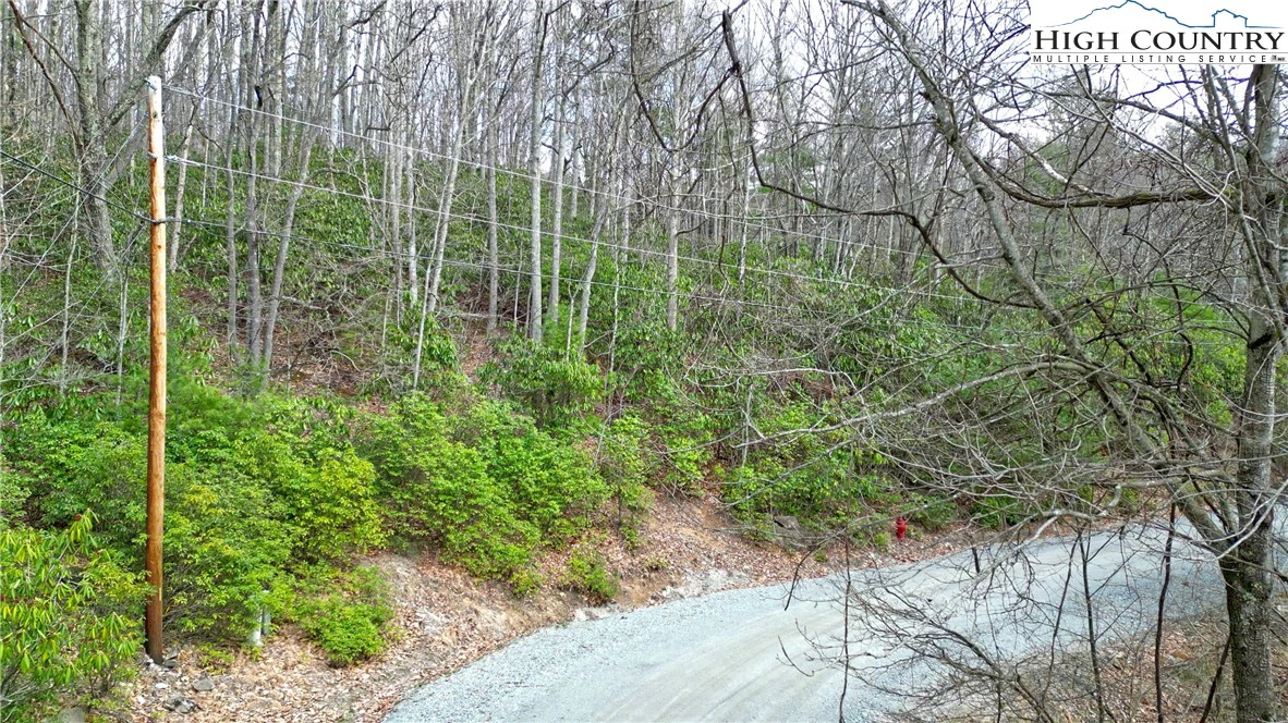Image number 3 for the current listing