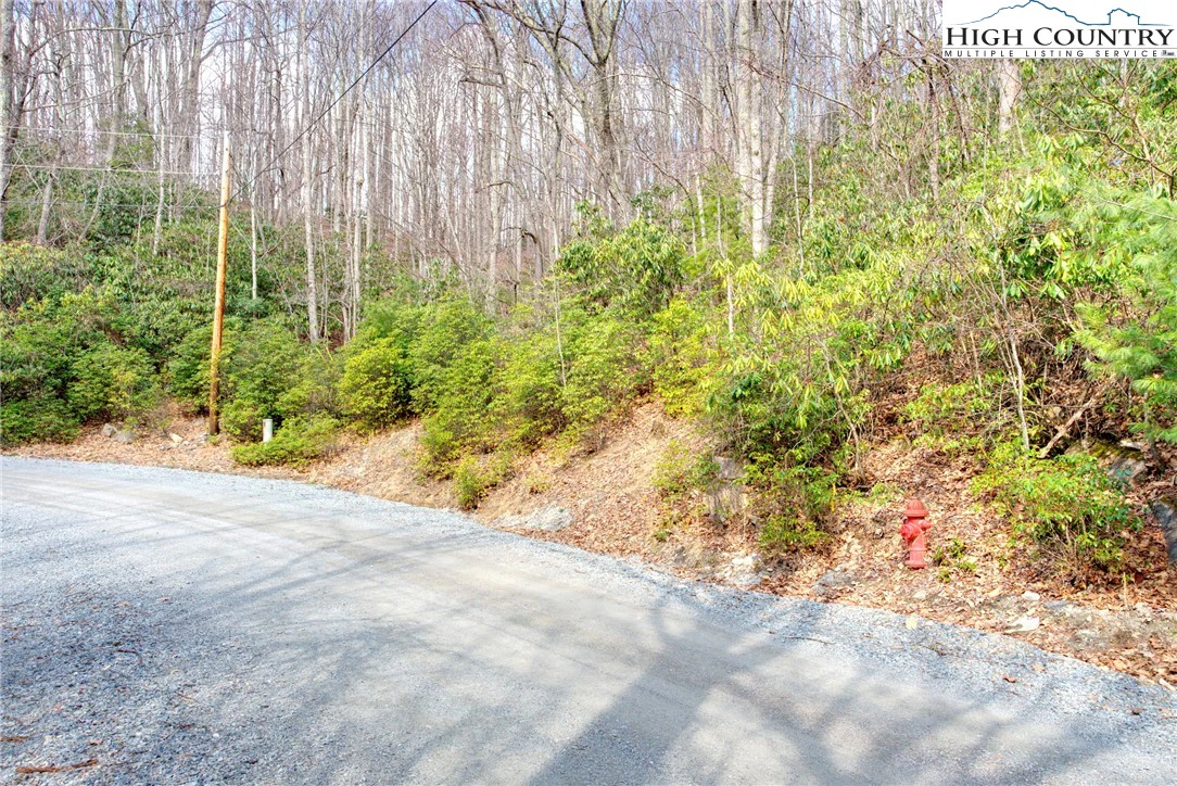 Image number 5 for the current listing