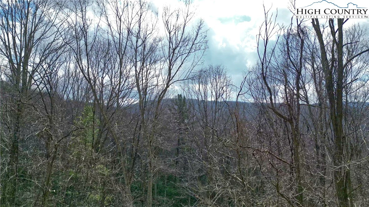 Image number 14 for the current listing