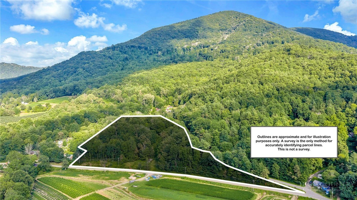 Image number 1 for the current listing