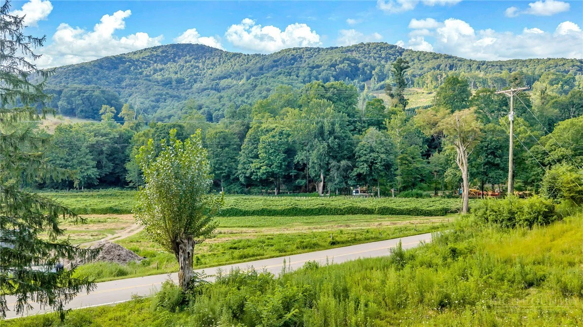 Image number 2 for the current listing