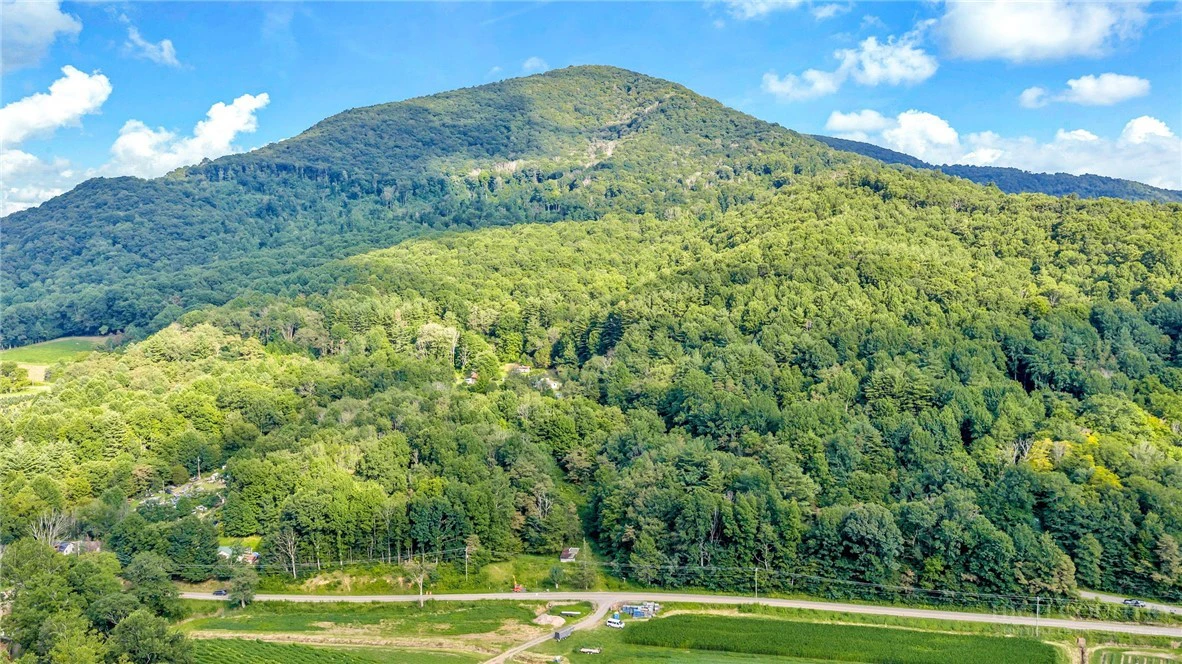 Image number 3 for the current listing