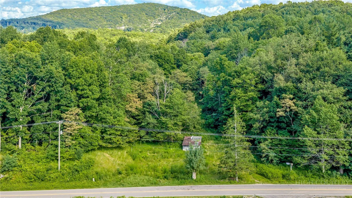 Image number 4 for the current listing