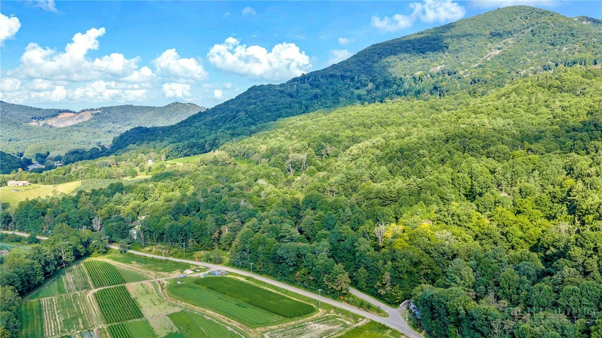 Image number 9 for the current listing