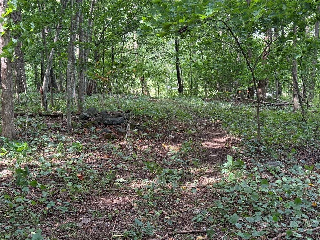 Image number 10 for the current listing