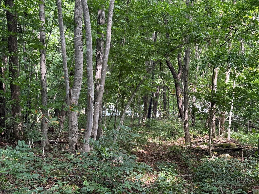 Image number 11 for the current listing