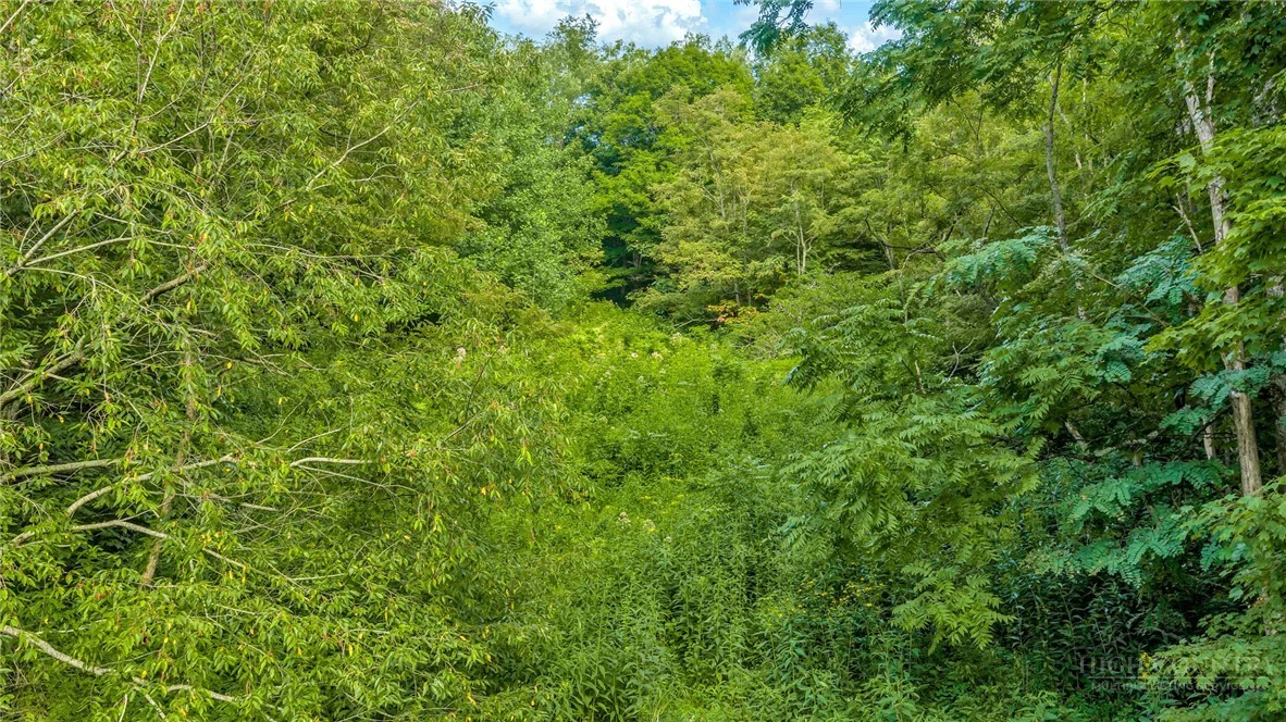 Image number 16 for the current listing