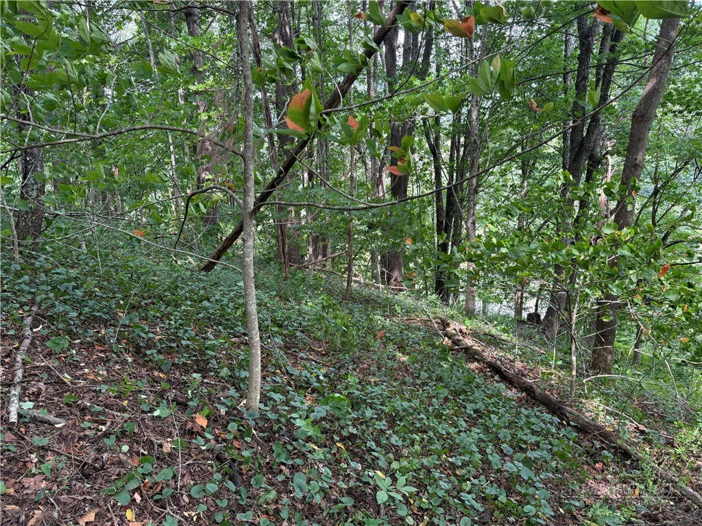 Image number 18 for the current listing