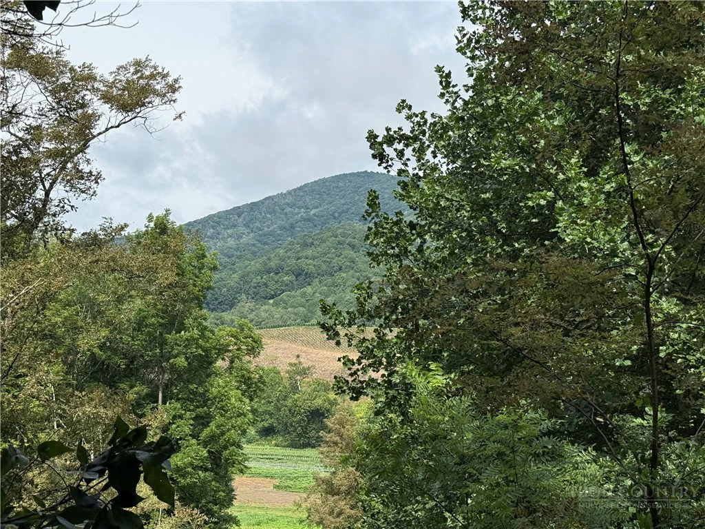 Image number 19 for the current listing