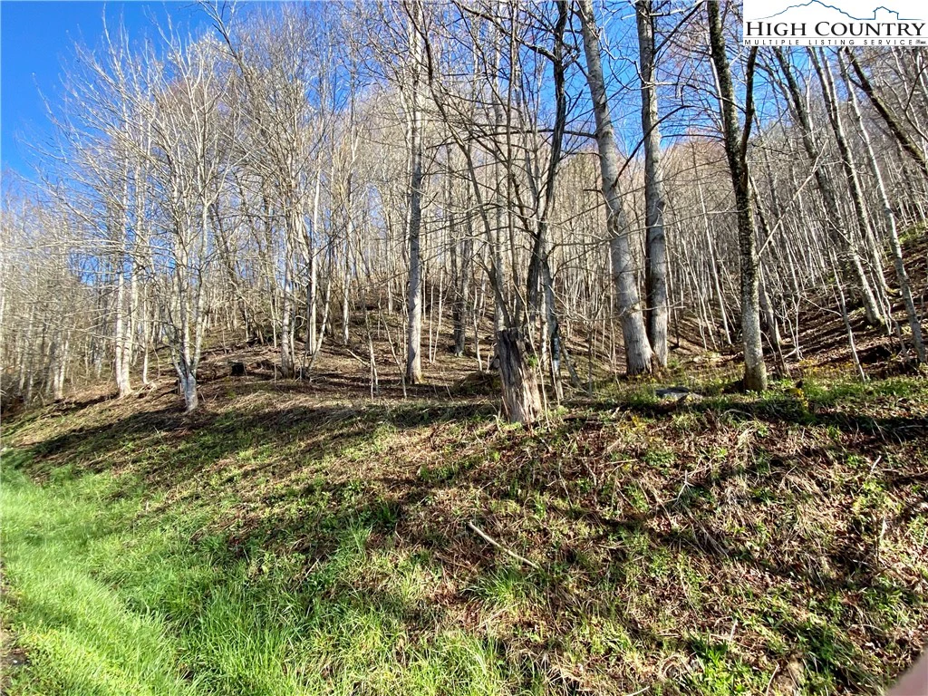 Image number 1 for the current listing