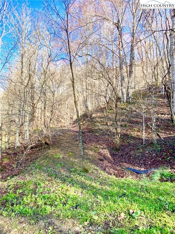 Image number 9 for the current listing