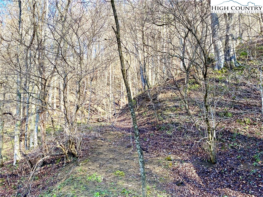 Image number 10 for the current listing
