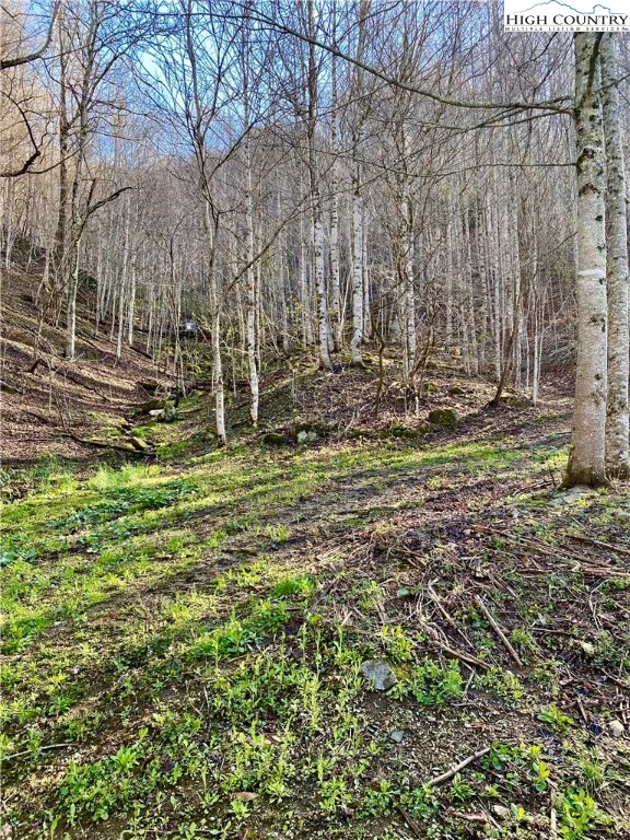 Image number 12 for the current listing