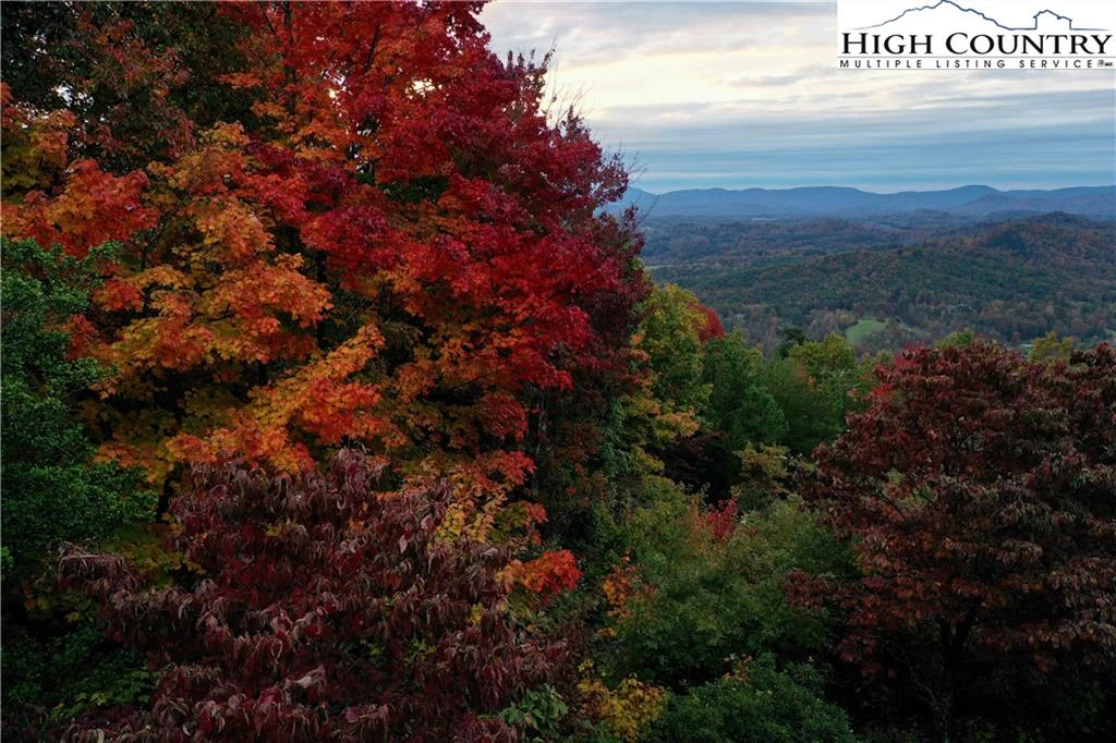 Image number 1 for the current listing