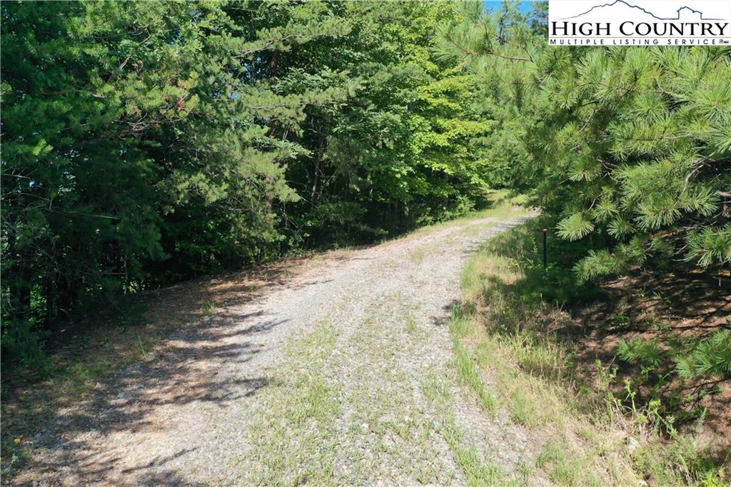 Image number 14 for the current listing