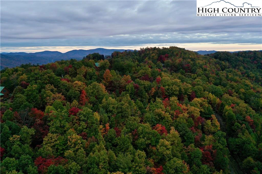 Image number 11 for the current listing
