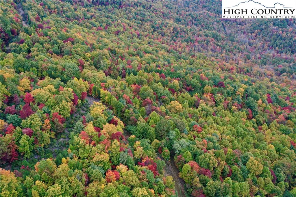 Image number 7 for the current listing