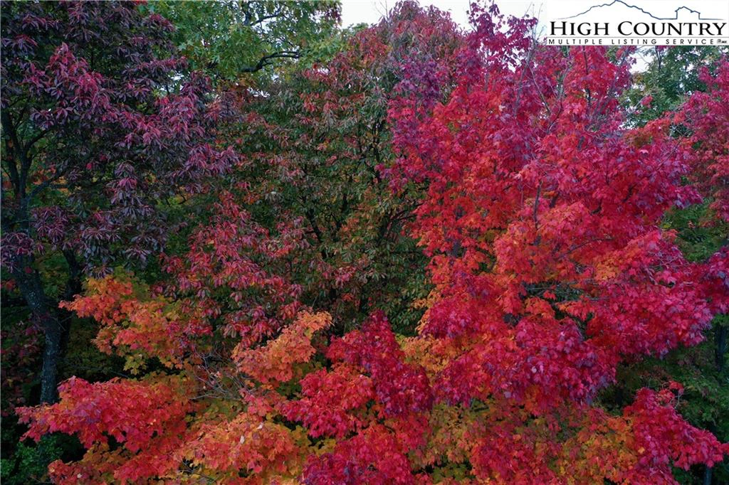 Image number 5 for the current listing