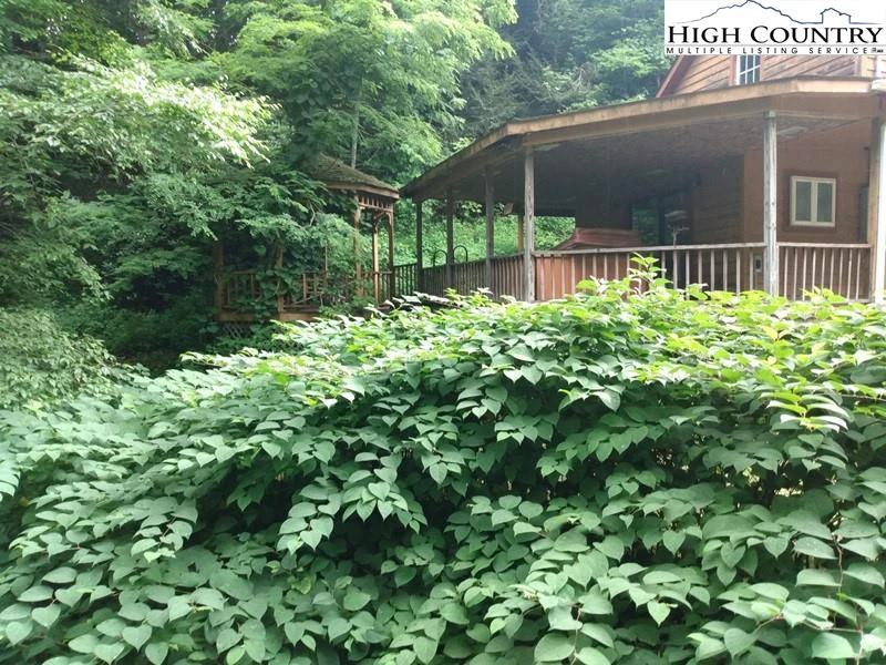 Image number 15 for the current listing