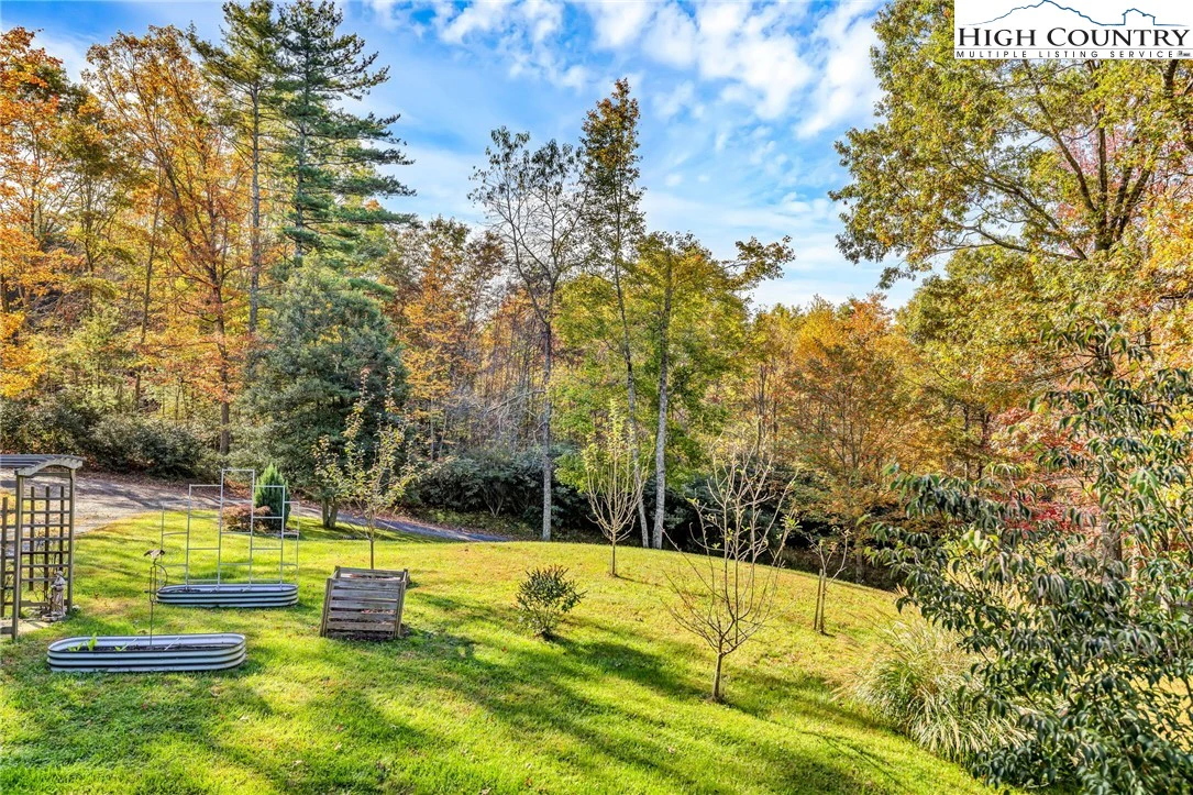 Image number 15 for the current listing
